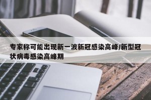 专家称可能出现新一波新冠感染高峰/新型冠状病毒感染高峰期
