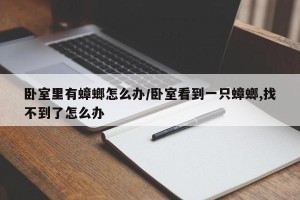 卧室里有蟑螂怎么办/卧室看到一只蟑螂,找不到了怎么办